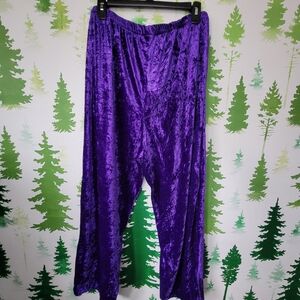 Vibrant Purple Casual Velvet Pants.
